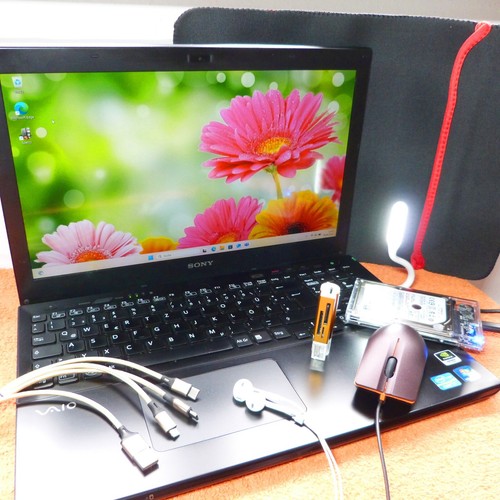 Sony vaio svs15 - sony, pollici