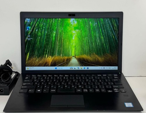 Sony vaio pro vjpg11c11n - pro, pg