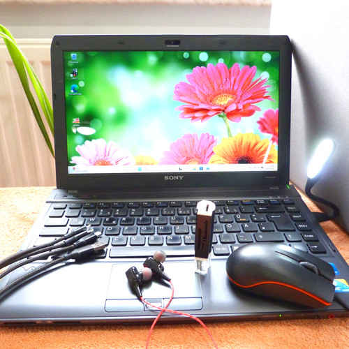 Sony vaio s11 - pollici, 1
